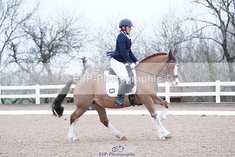 250214-094736-00070 - 167-Willow.Tarrant.Clark-Ashgrove.Wendi