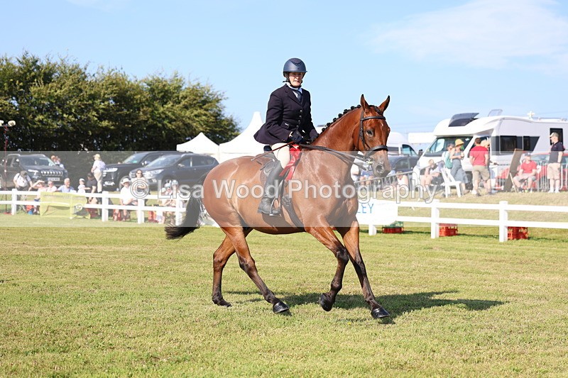 3E7A5745 - Class 2: Rising Star Large Hack/Riding Horse