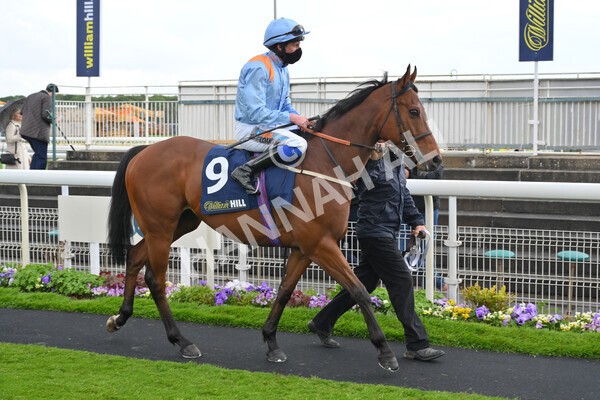 yr22052021r4-17 - Race 4 3.50pm WilliamHill.com Best Odds Guaranteed Stakes