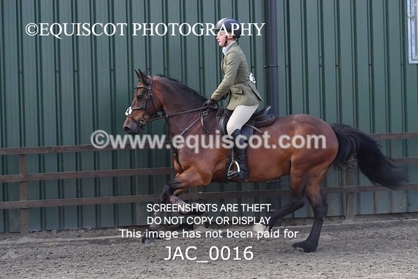 JAC_0016 - CLASS 3 Intermediate Working Hunter (0.70m - 0.85m)