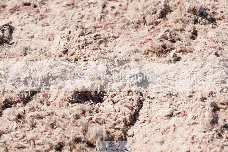 250503-150428-01610 - Cls 29 Winter-Summer