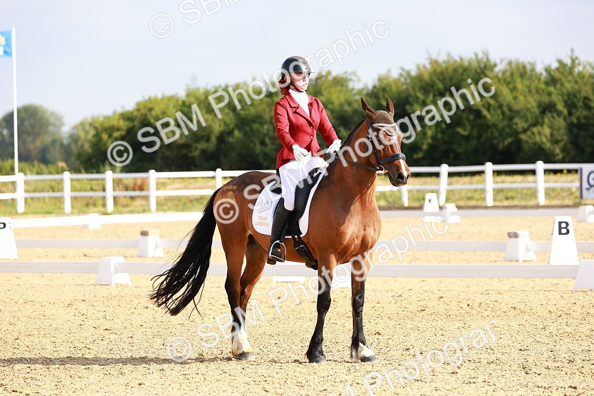 SBM_008204