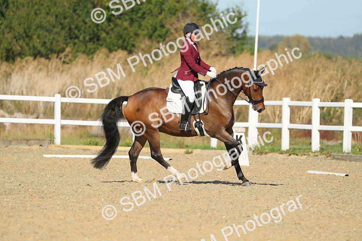 SBM_000696 - Class 4 - N4