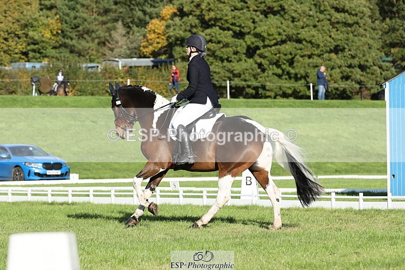 251024A-100517-07654 - D-341-Charlotte.Northcott