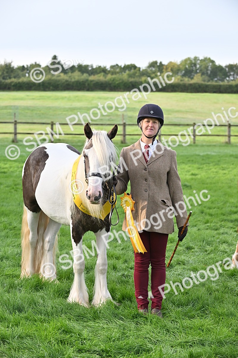 SBM_55373 - S44 - Youngstock In Hand