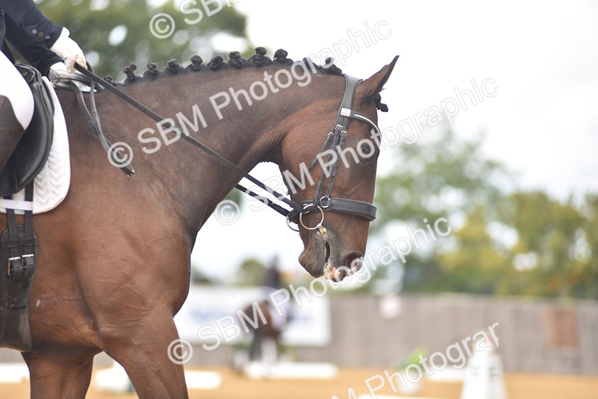 SBM_22462 - D13 - Grand Tour Championship Prelim 3