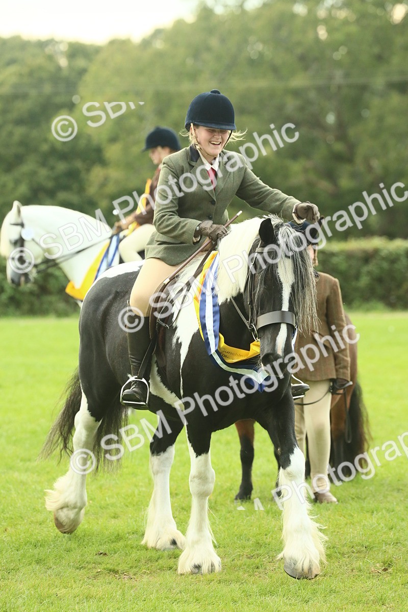 SBM_75280 - Super Supreme Championship