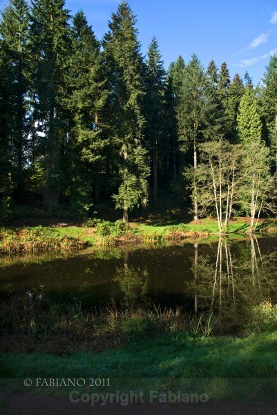 Soudly Lake - Landscapes