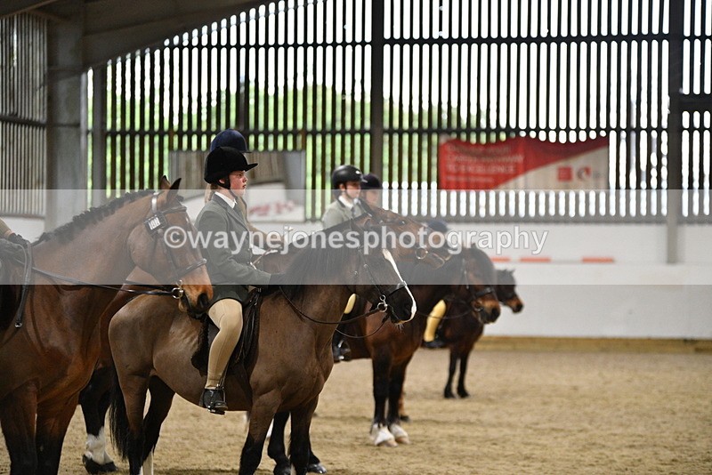 WJ5_8666 - Class 14 Novice Ridden/Rider
