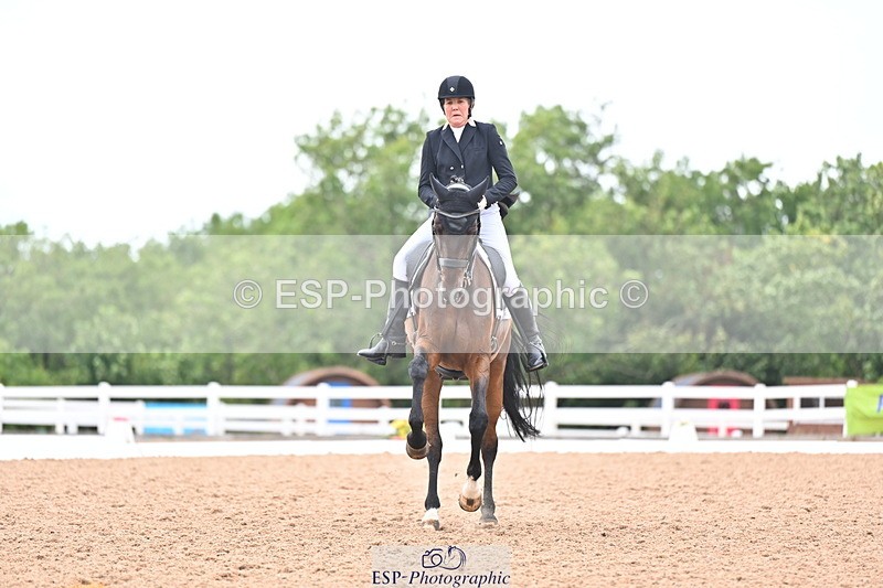 240815A-155638-02506 - 228-Nicola.Rapley-Scolari's.Glory