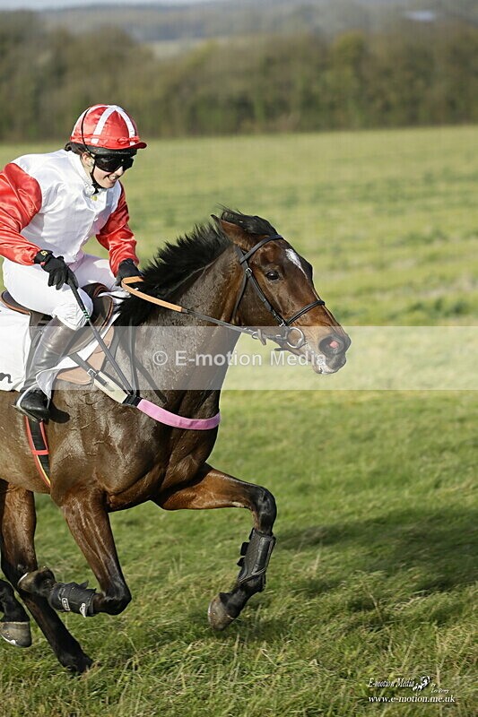 PtP 250921 0816 - Point-to-Point Badbury Rings Dorset 07/11/2021