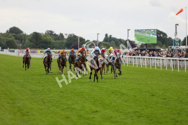 150624-Race 5-The Strikin Viking-6180 - Race 5 4.10pm Reg Griffin Appreciation ebfstallions.com Maiden Stakes