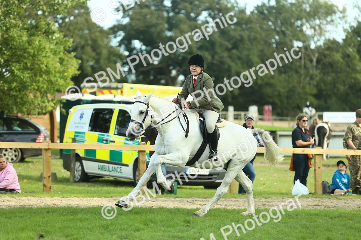 SBM_50714 - S33 - Working Hunter & Working Show Horse