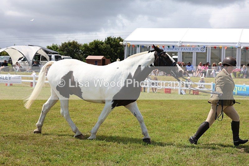 3E7A2206 - Class 10: Open Cob