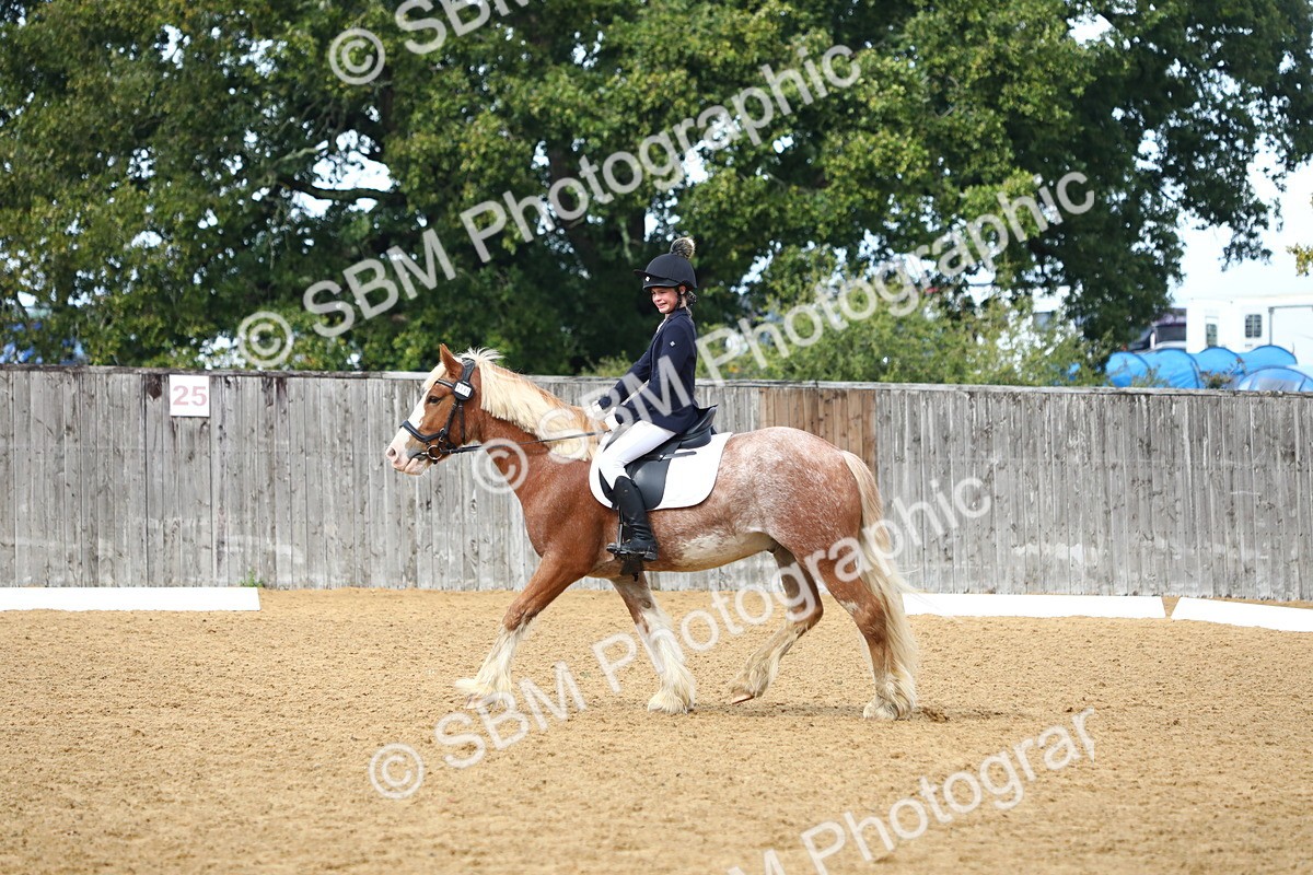 SBM_42647 - D21 - Junior Championship Intro 1