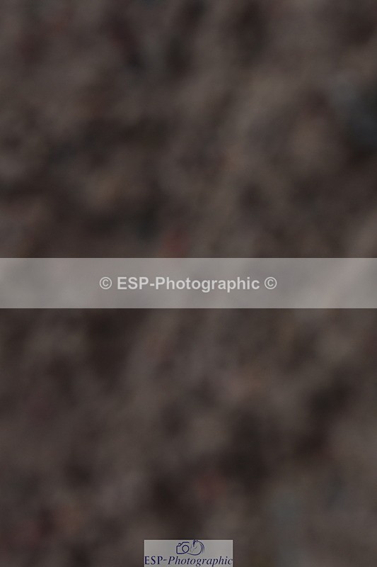 231104A-120324-00360 - Cls 7 Elementary 43