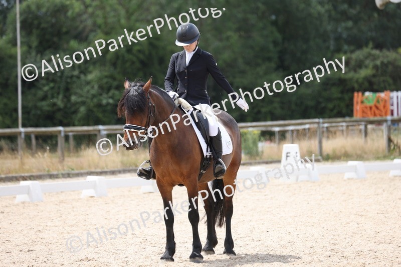 20250706-0461 - Class 17 - Elementary 5