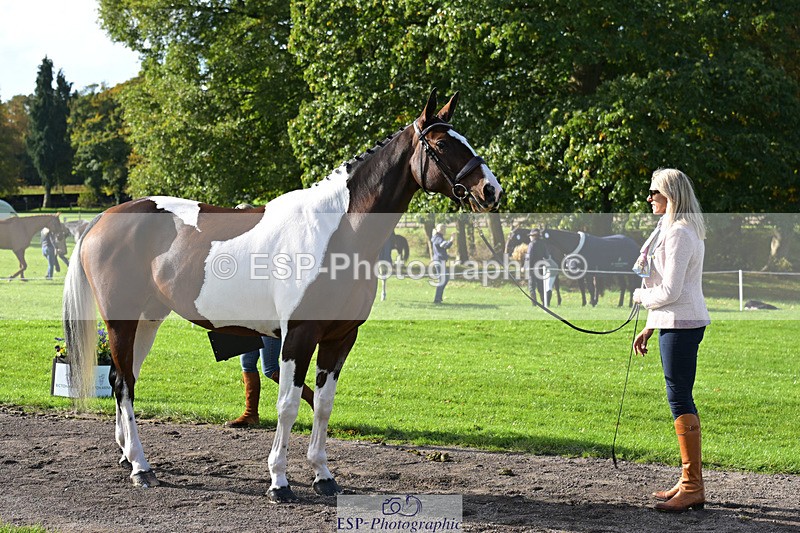 241023-130605-00070 - 004-Claire.Deuten-FOXRIDGE.HIGH.JINX