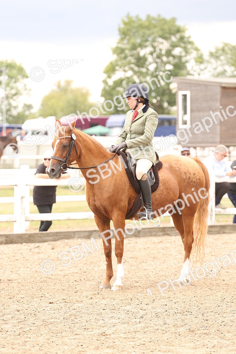 SBM_06254 - Class 57b -  Style & Performance - 60cm (20+)