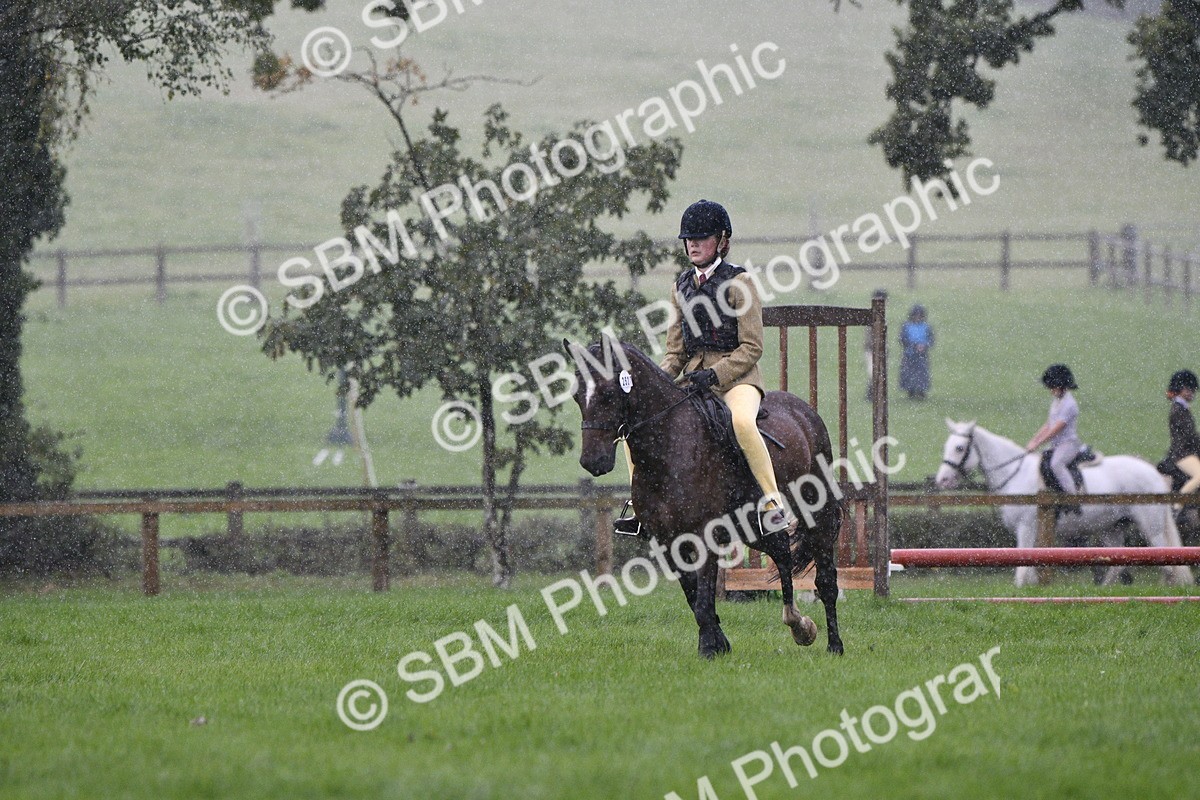 SBM_35486 - S30 - Nursery Stakes Working Hunter Pony