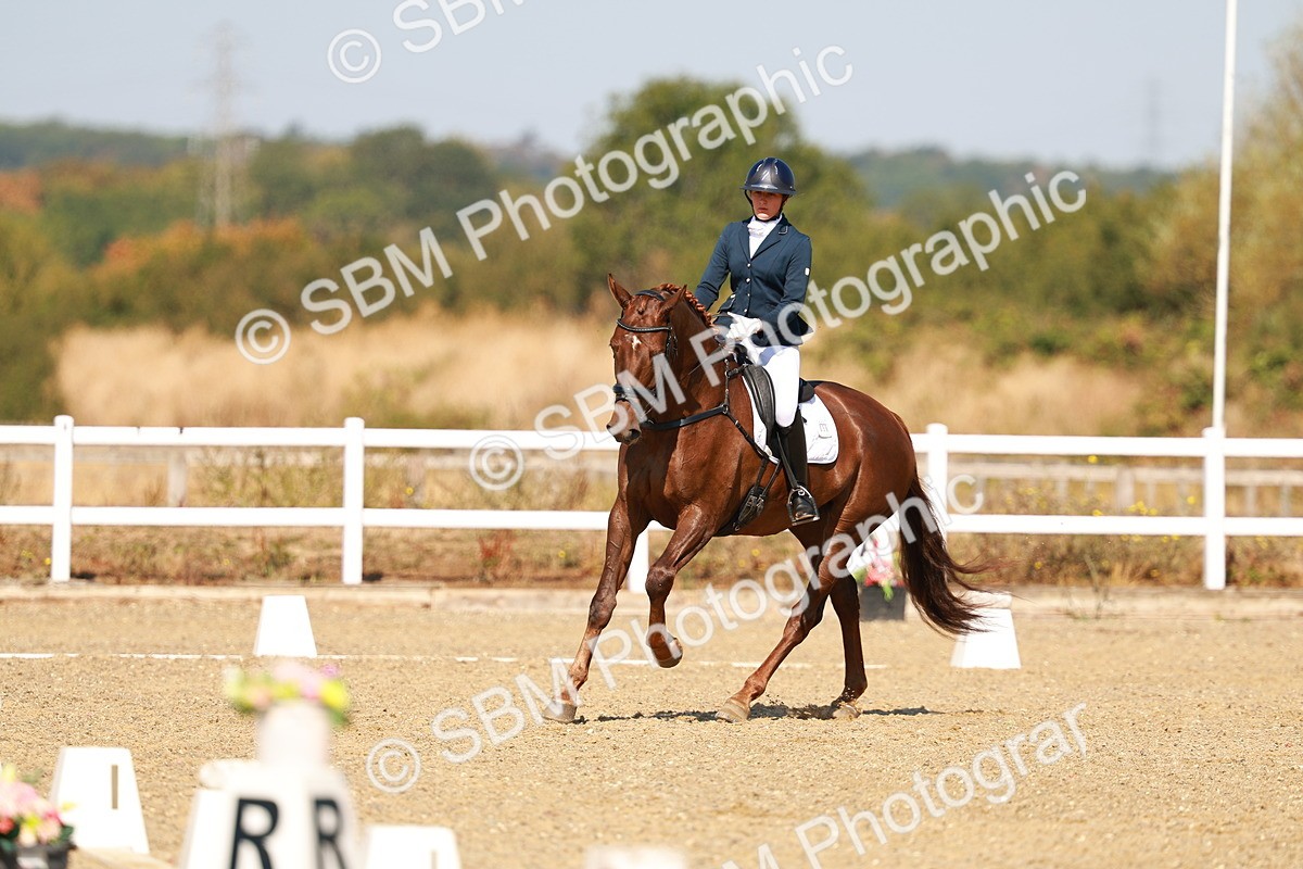 SBM_017541 - Class 9 - N5 Bronze 10.33.11.36