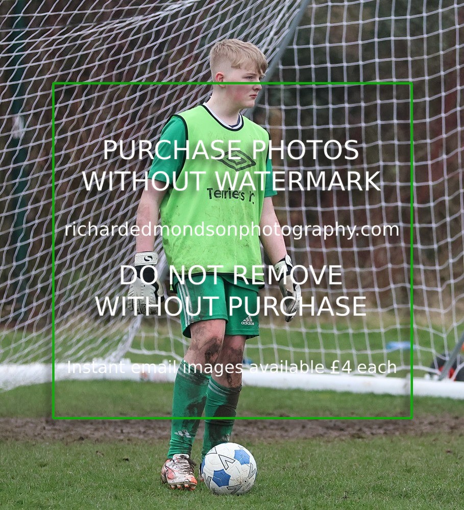 533A6654 - Lonsdale Terriers