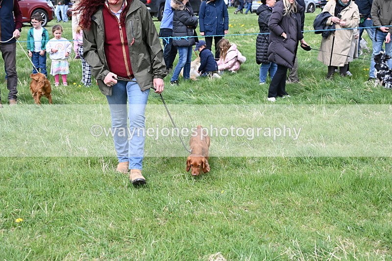 WJ6_8330 - Class 4 Prettiest Bitch