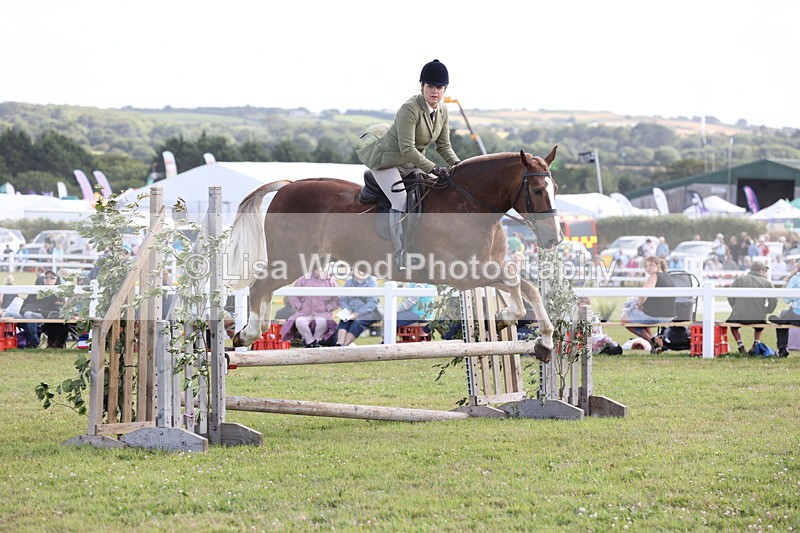 JPP_2522 - Class 20: Working Hunter 70cm