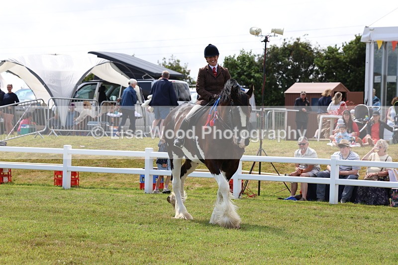 3E7A2861 - Class 13: Heavy Horse Ridden