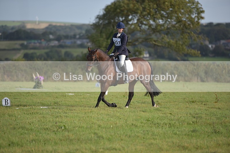RAY_7261 - Class 2B: Trekenning Open: Dressage