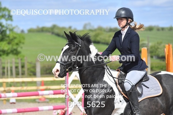 BPP_5625 - CLASS 24 SUN Senior BritiNovice/ 90cm Open