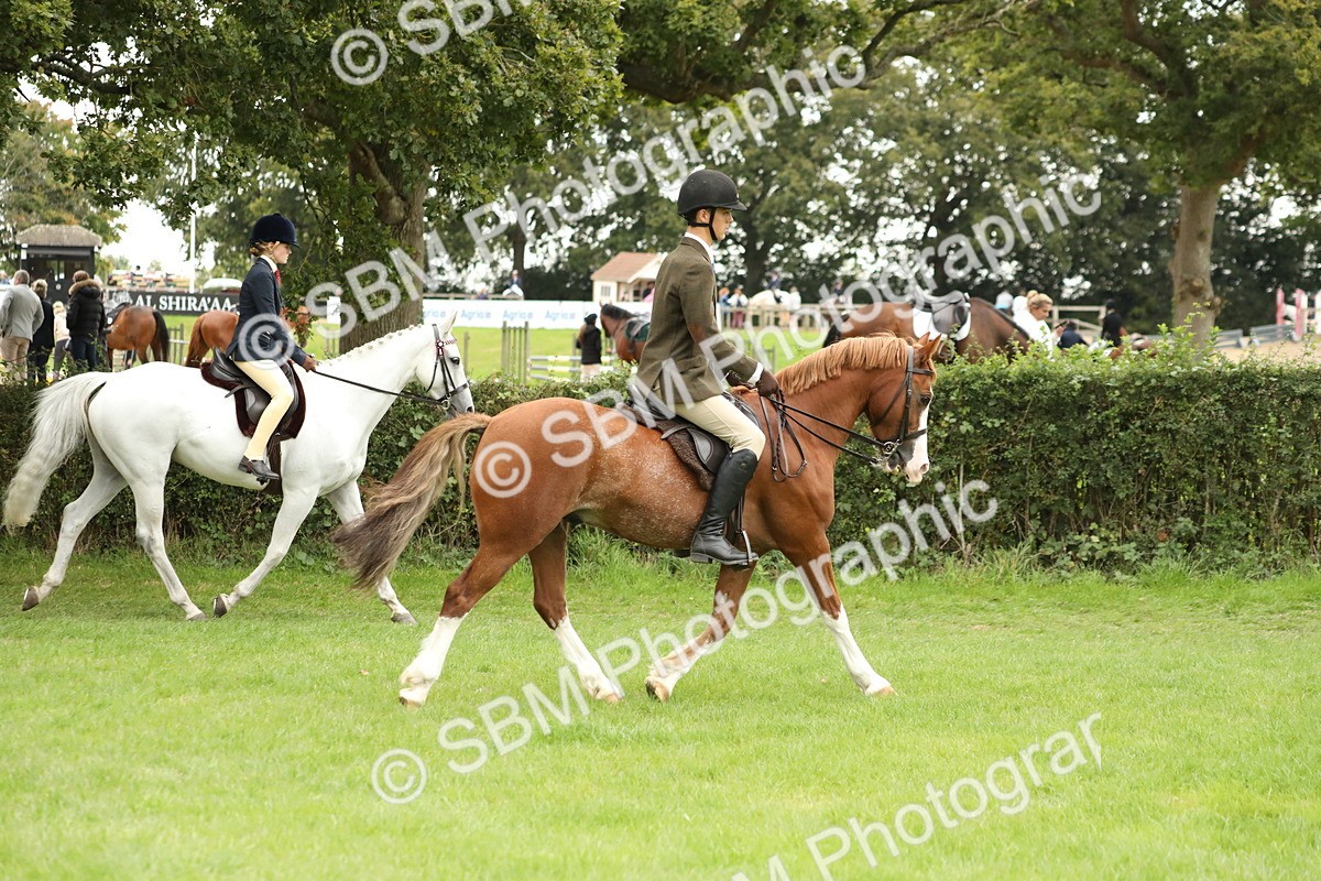 SBM_73687 - S41 - Ridden Equitation (Best Rider)