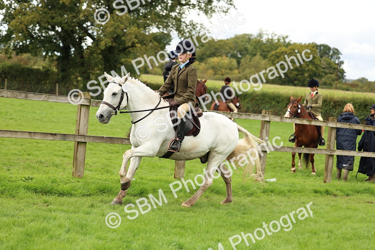 SBM_45360 - S33 - Working Hunter Pony