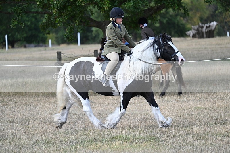 WJ7_6865 - Class 14 Ridden Coloured