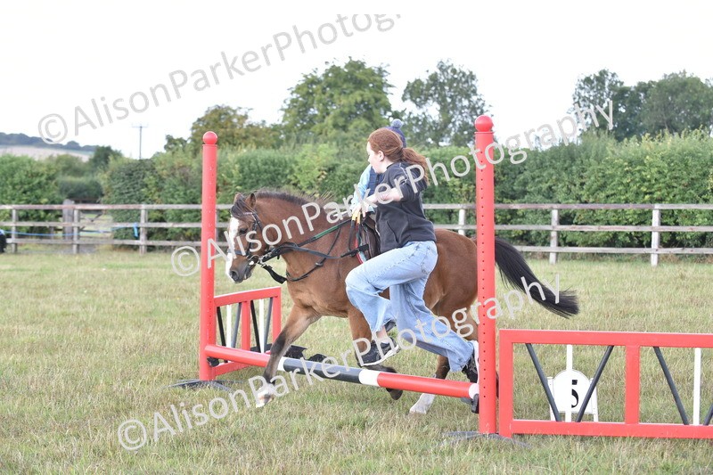 20250831-0492 - Class 7 - Absolute Novice 35cm