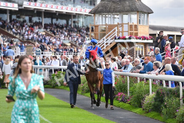 yr19082022r4-59 - Race 4 3.35pm Coolmore Wootton Bassett Nunthorpe Stakes (British Champion Series Race)