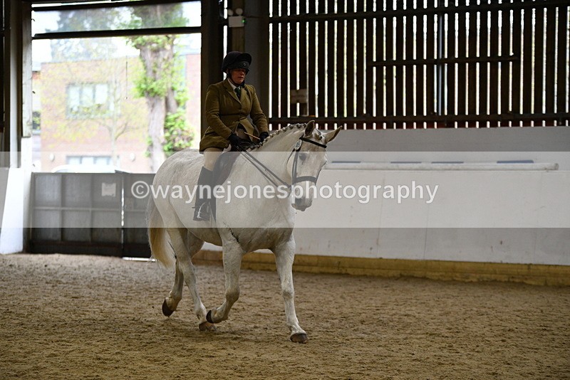 WJ5_9032 - Class 15 Ridden Show Horse