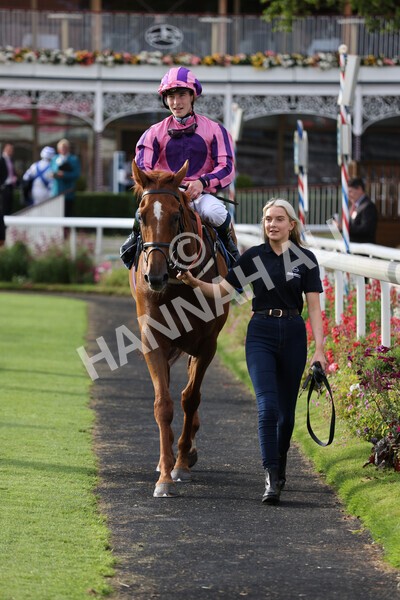 yr23072021r2-37 - Race 2 6.30pm IRE-Incentive It Pays To Buy Irish Stakes