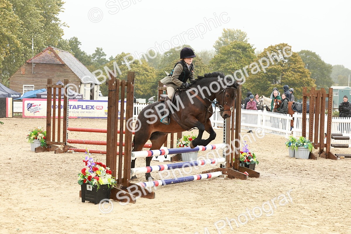 SBM_73290 - Supreme Championship Junior Pony 60cm & 65cm