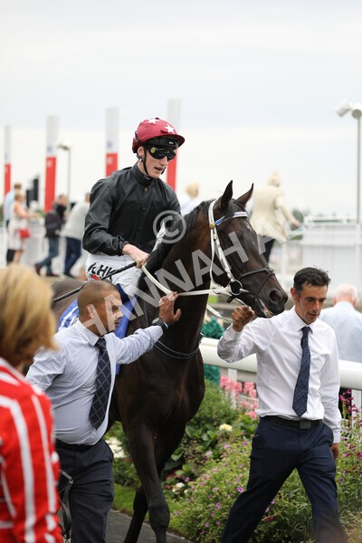 yr23072022r3-10 - Race 3 3.15pm Sky Bet York Stakes