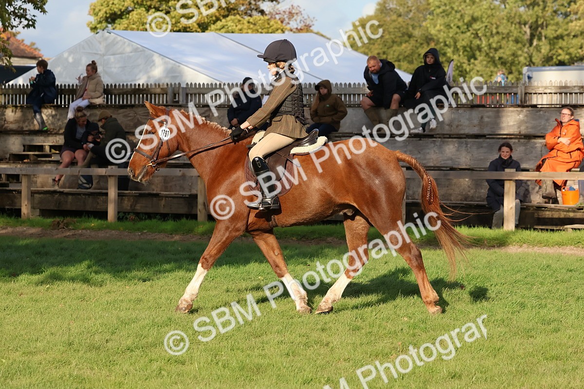 SBM_52606 - S13 - Pony Club Pony