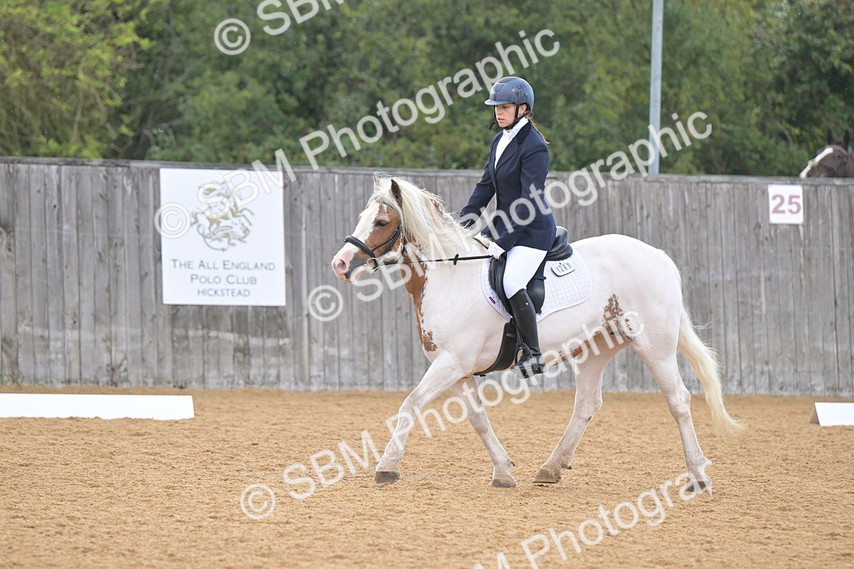 SBM_11214 - D3 - Small Tour Championship Intro 3