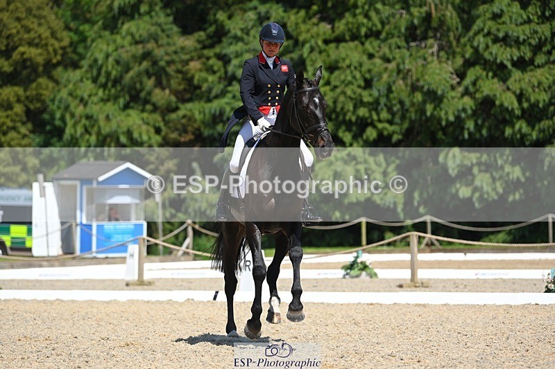 230526-141244-06937 - 482-BROOKFIELD_CAVALIER_CRUISE-Piggy_March-DR