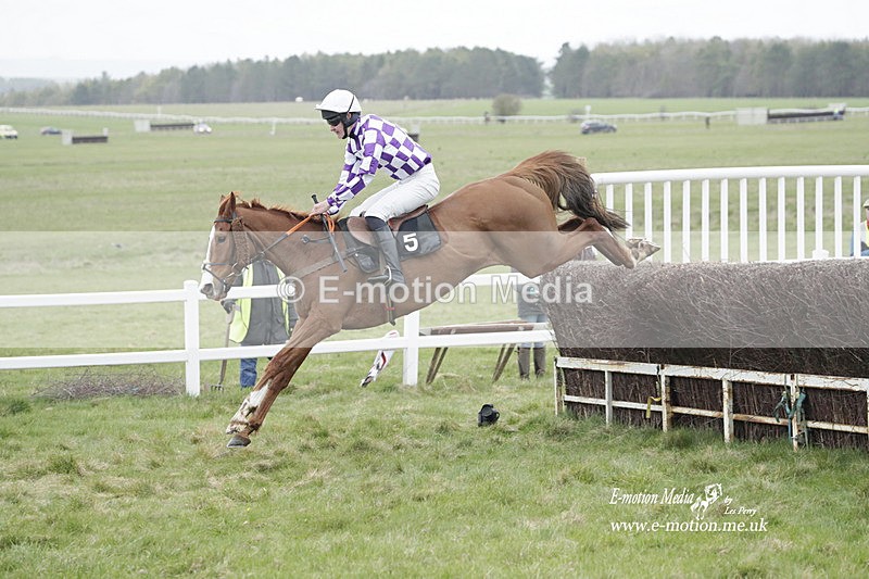 PtP 260323 0934 - New Forest Hounds Point-to-Point Larkhill 26/03/23