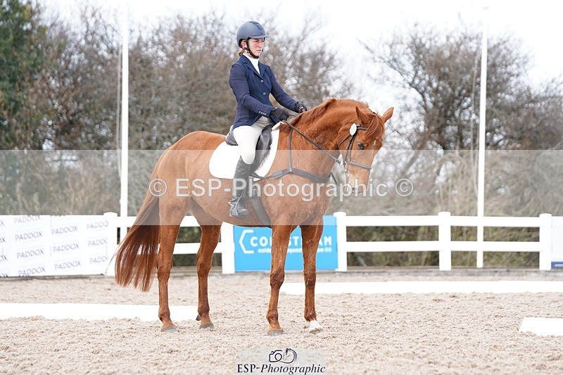 250322-131848-00481 - DR Elementary 2 Test