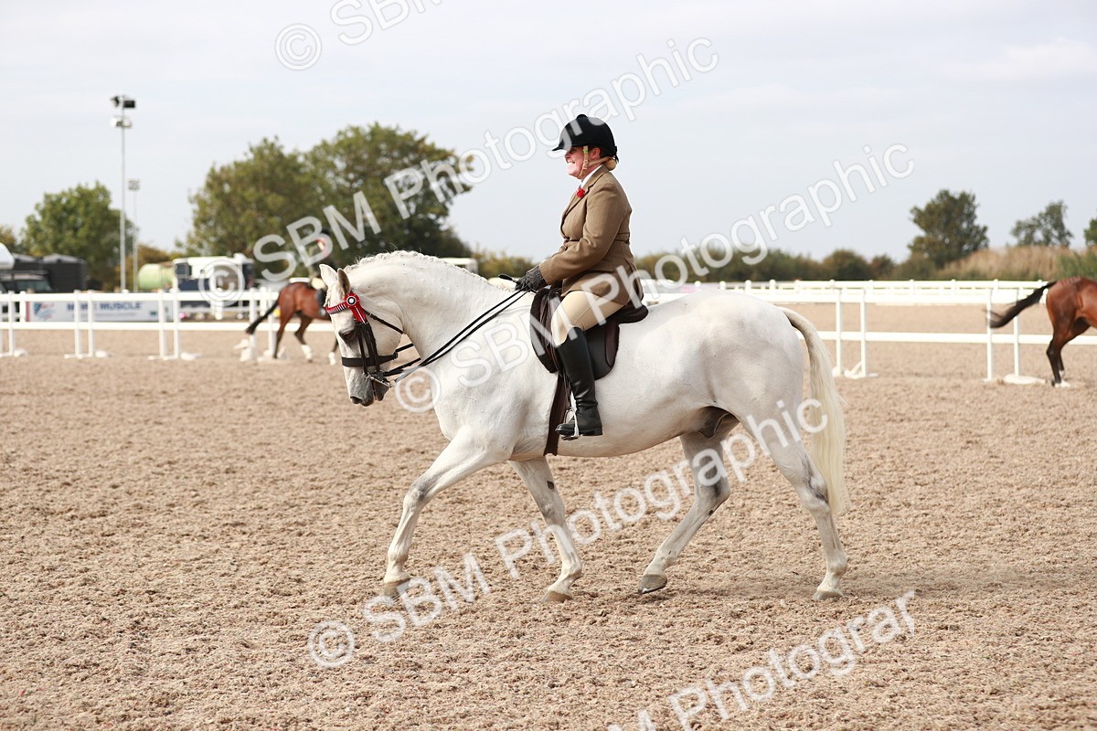 SBM_17513 - Class 215 Ridden Hack/ Riding Horse