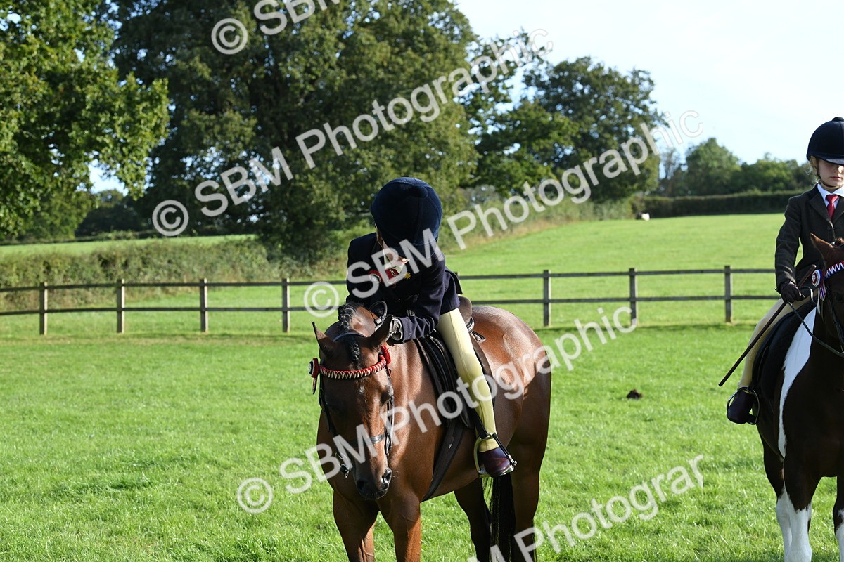 SBM_52427 - S22 - 1st Ridden Show & Show Hunter Pony