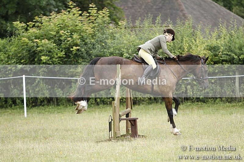 BVR160717-93 - Ring 3 BVRC Show 16/07/17