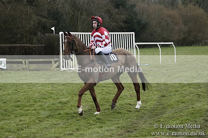 PtP 110318 41 - Hampshire Hunt Point-to-Point Hackwood Park 11/03/18