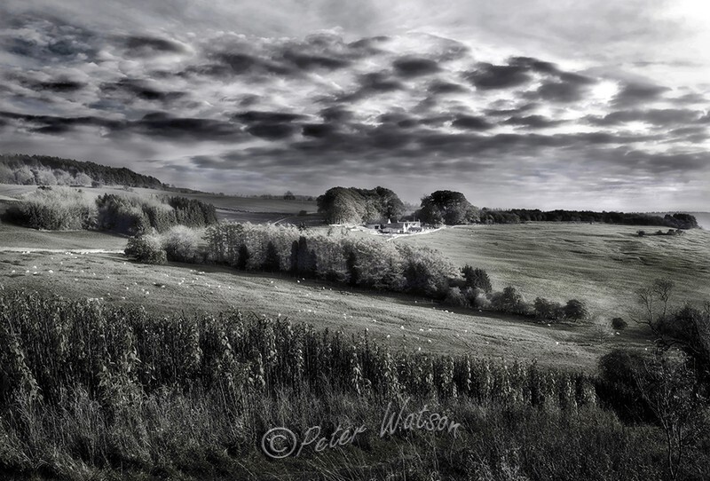 Farmland The Cotswolds England - Monochrome